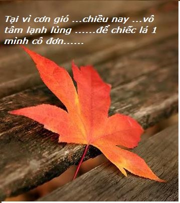 STT Quá Khứ Của Thời Gian